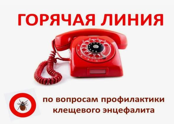 «Горячая линия» по вопросам профилактики клещевого энцефалита.
